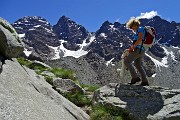 Al Rif. Ponti (2559 m), il rifugio del Disgrazia, dalla Valle di Preda Rossa il 23 giugno 2015 - FOTOGALLERY